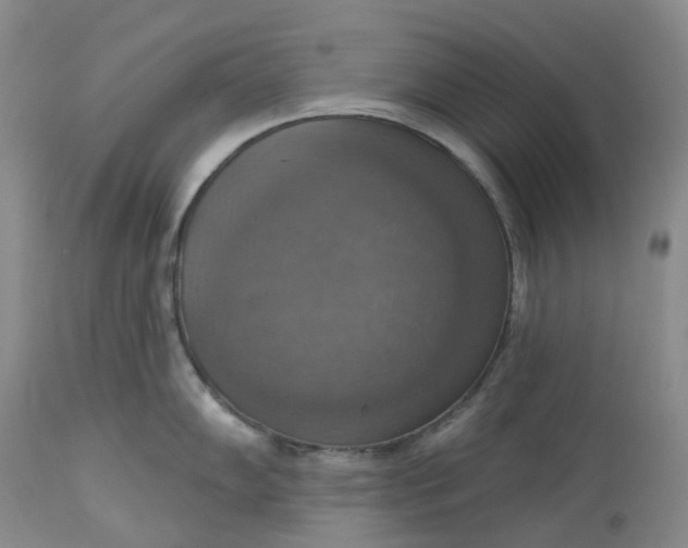 X0000113231102200910011403