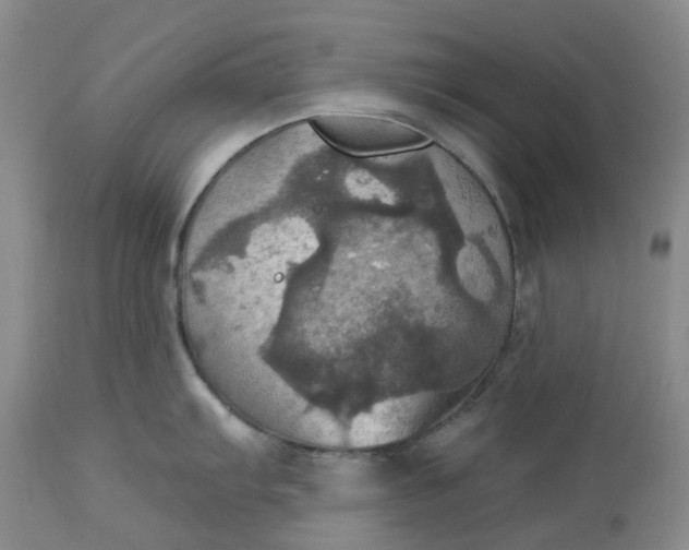 X0000113231103200910011403