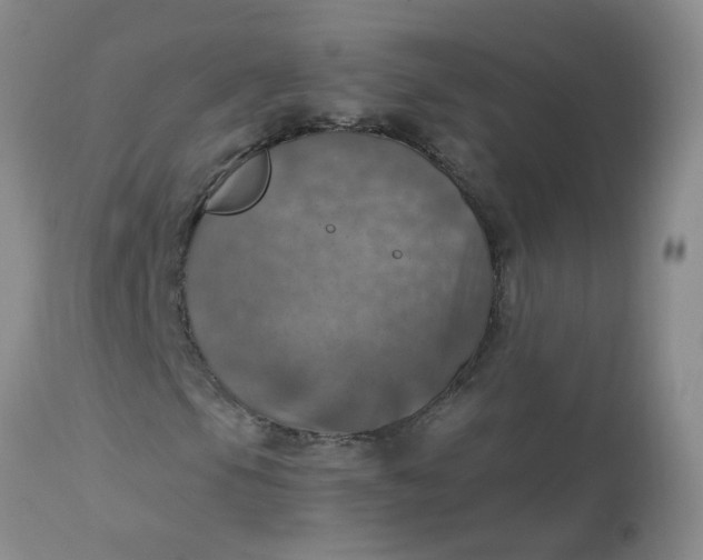 X0000113231105200910011402