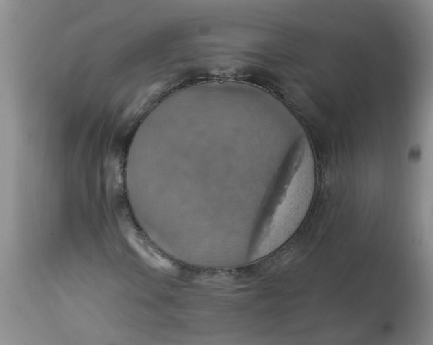 X0000113231106200910011402