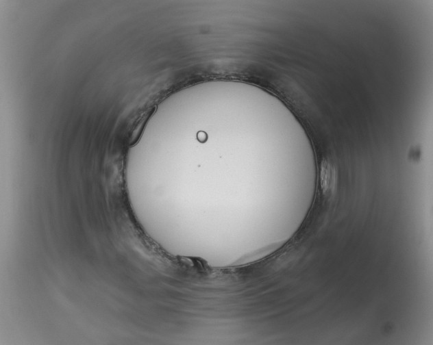 X0000113231107200910011402