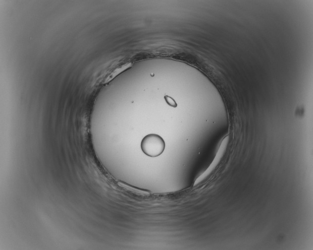 X0000113231108200910011402