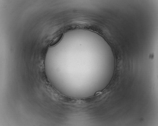 X0000113231109200910011402