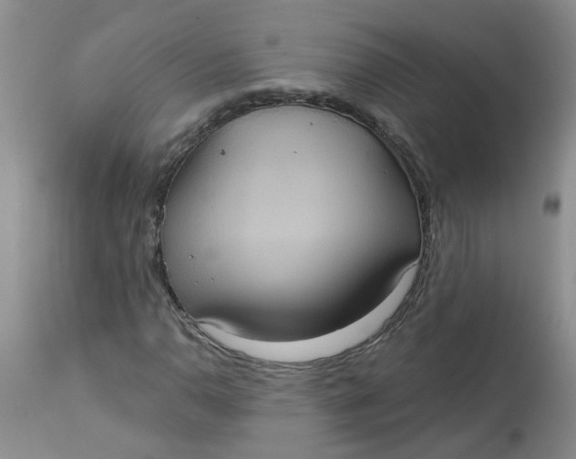 X0000113231110200910011402