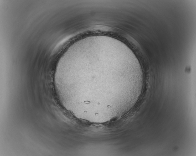 X0000113231112200910011402