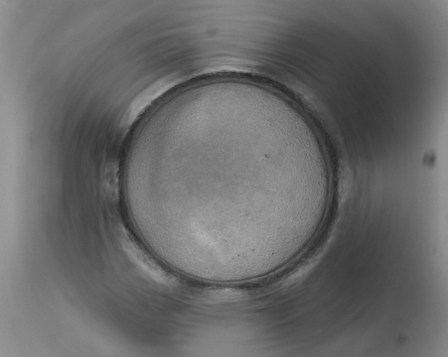 X0000113231113200910011402