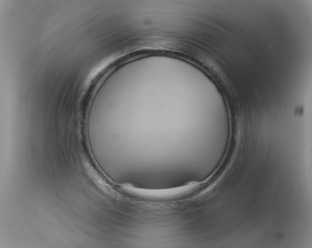 X0000113231114200910011402