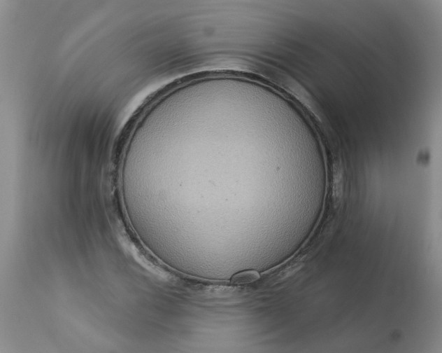 X0000113231116200910011402