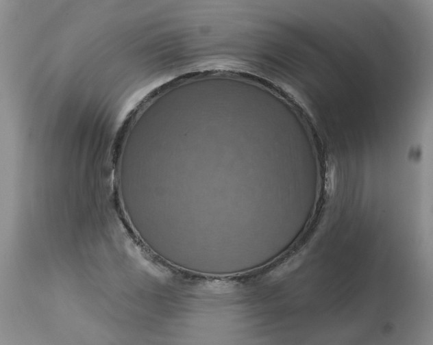 X0000113231117200910011403