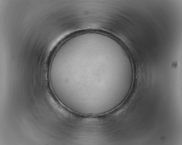 X0000113231118200910011403