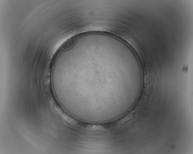 X0000113231119200910011403