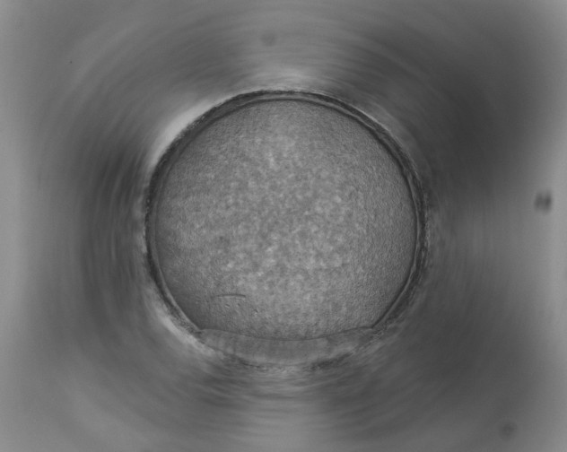 X0000113231120200910011403