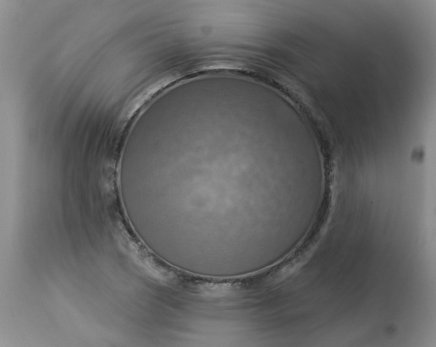 X0000113231121200910011403