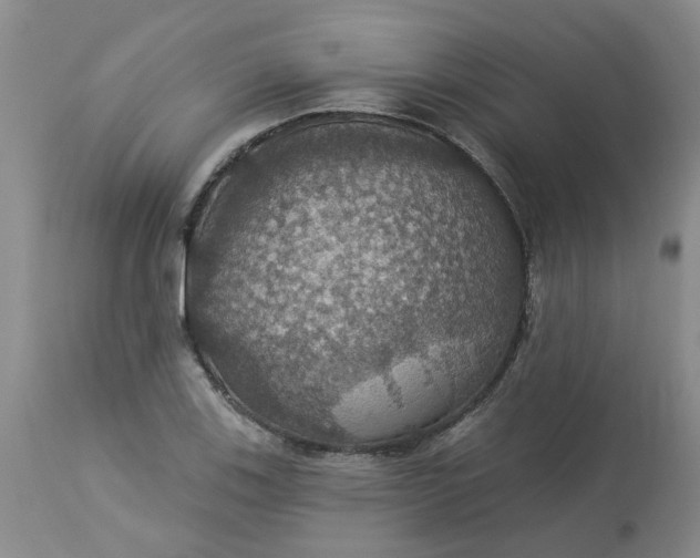 X0000113231123200910011403