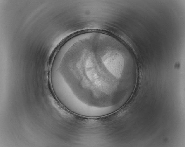 X0000113231124200910011403