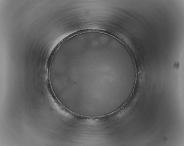 X0000113231125200910011403