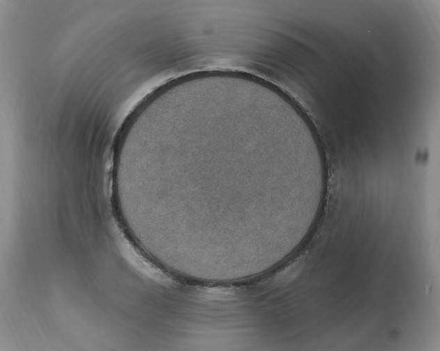 X0000113231126200910011403