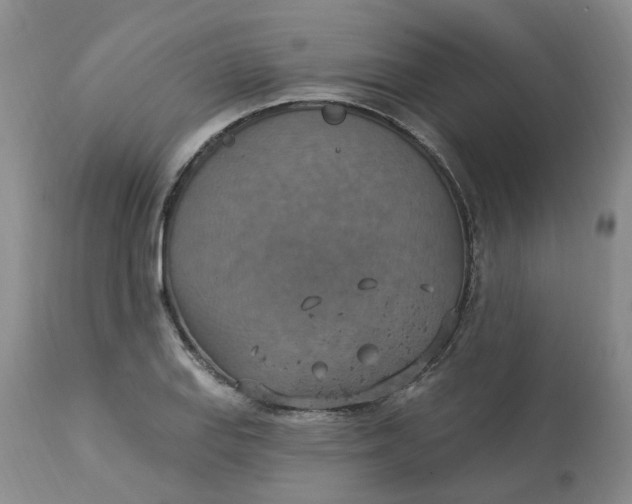 X0000113231127200910011403