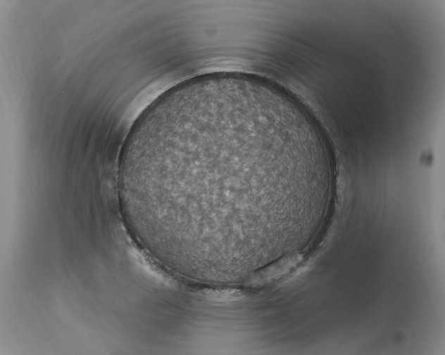 X0000113231129200910011403