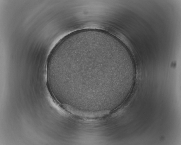 X0000113231132200910011403