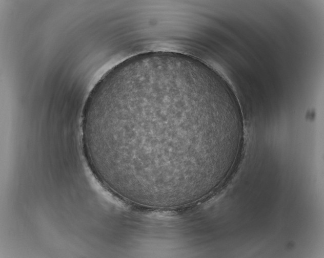 X0000113231133200910011403