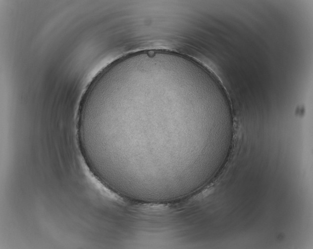 X0000113231135200910011403