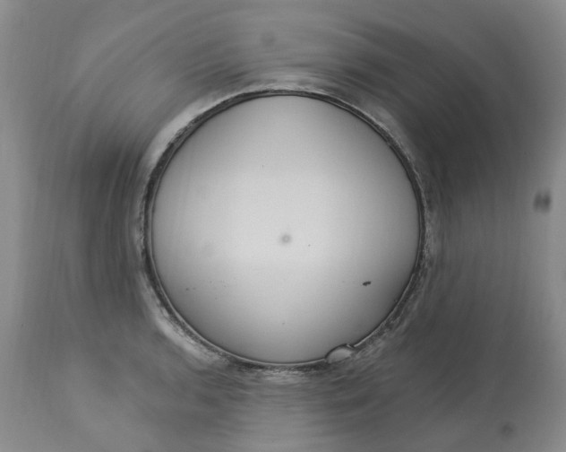 X0000113231136200910011403