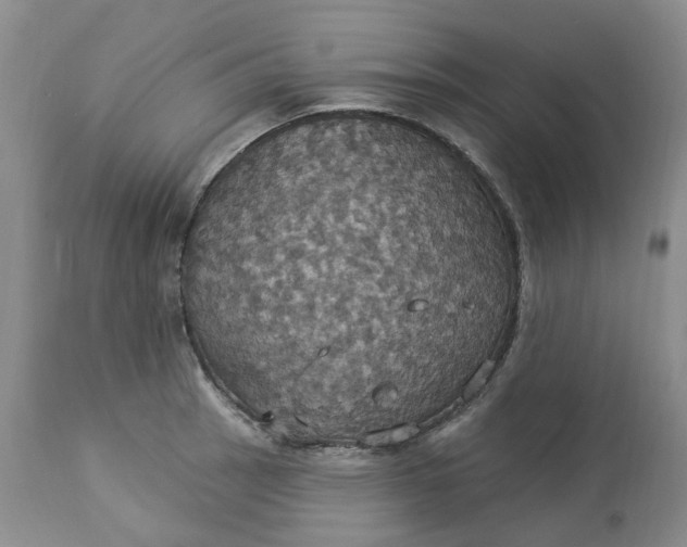 X0000113231137200910011403