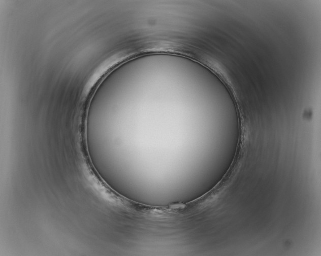 X0000113231138200910011403