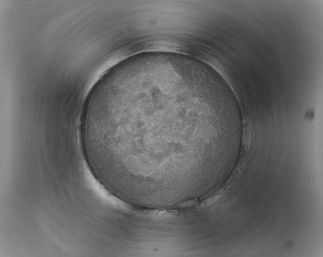 X0000113231139200910011403