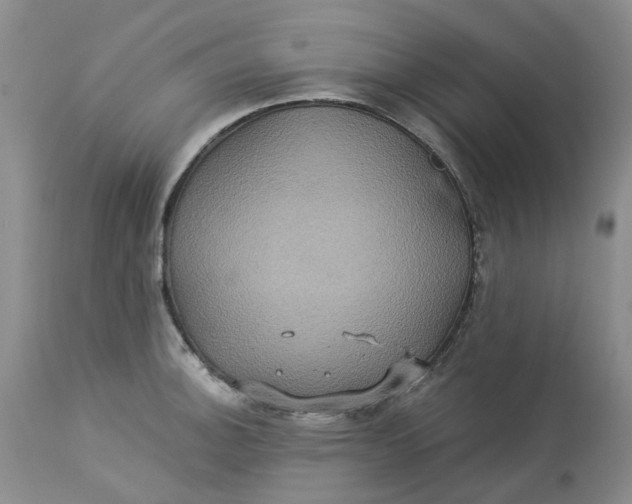 X0000113231140200910011403