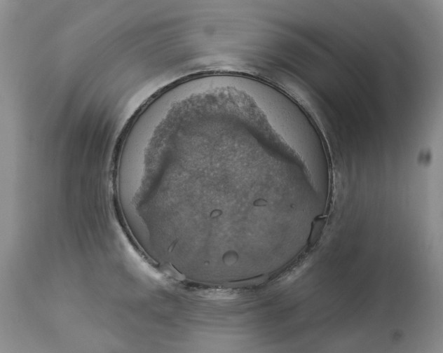 X0000113231141200910011403