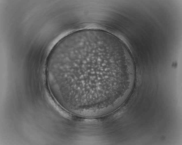 X0000113231142200910011403