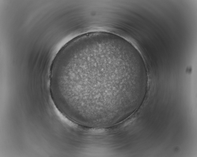 X0000113231143200910011403