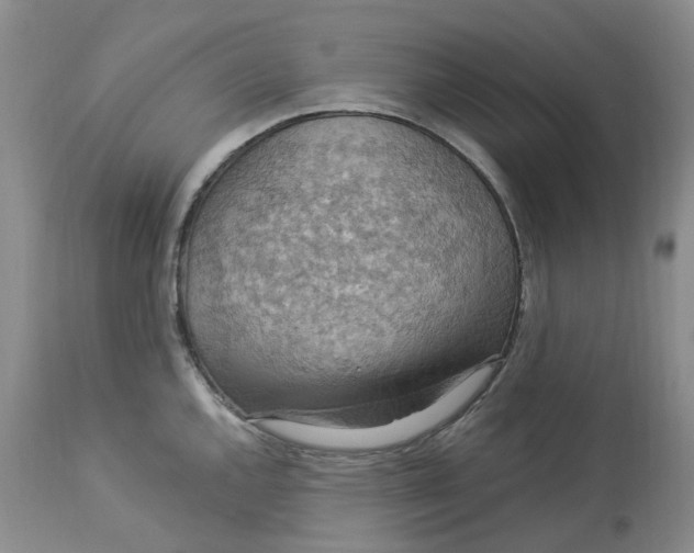 X0000113231144200910011403