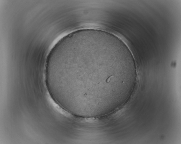 X0000113231147200910011403