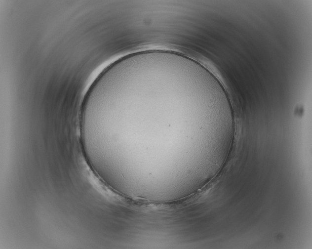 X0000113231148200910011403