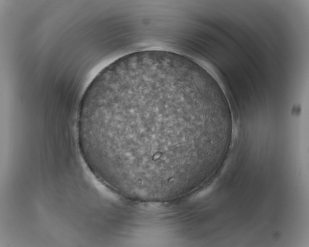 X0000113231149200910011403