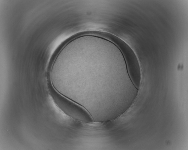 X0000113231152200910011403