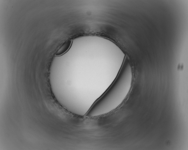 X0000113231153200910011402