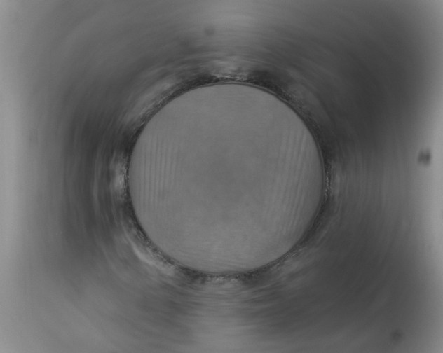 X0000113231154200910011402