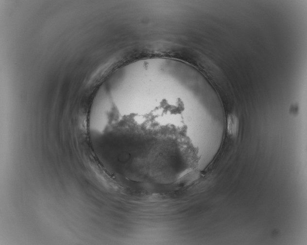 X0000113231155200910011402