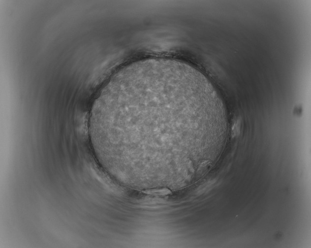 X0000113231156200910011402