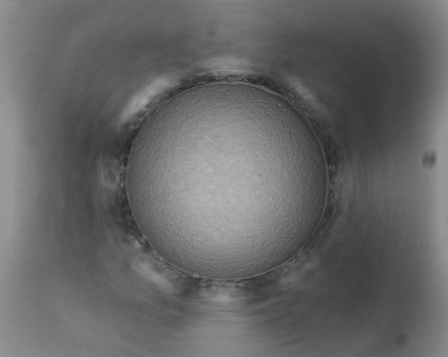 X0000113231157200910011402