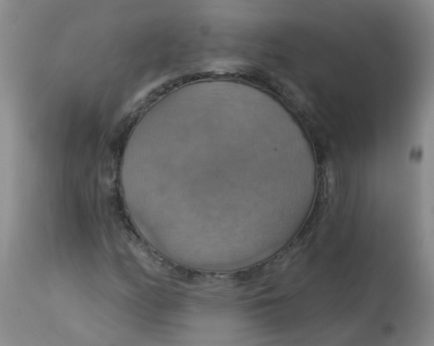 X0000113231158200910011402