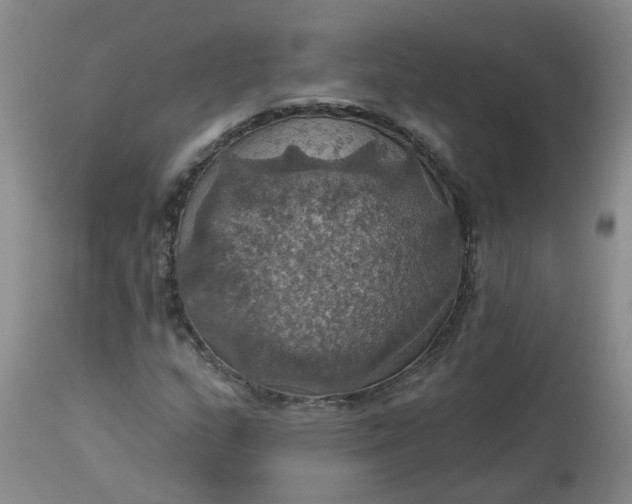 X0000113231159200910011402