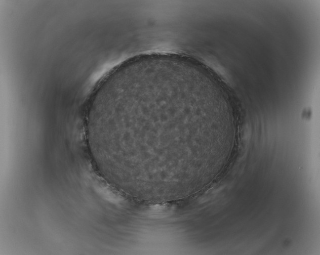 X0000113231160200910011402