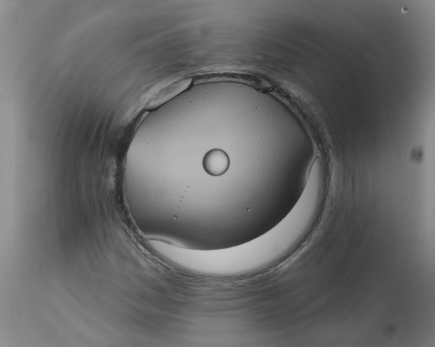 X0000113231161200910011402