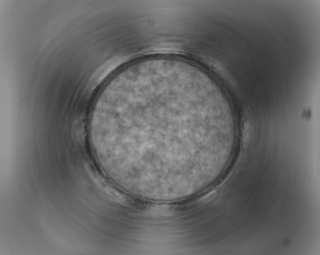 X0000113231162200910011402