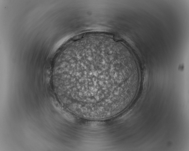 X0000113231163200910011402